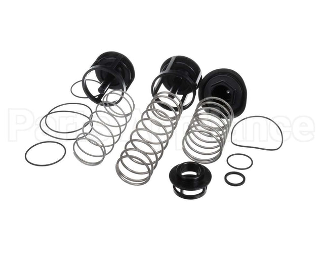 0888171 Watts Rk919T-2 Repair Kit