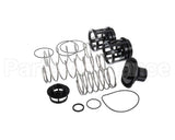 0888171 Watts Rk919T-2 Repair Kit