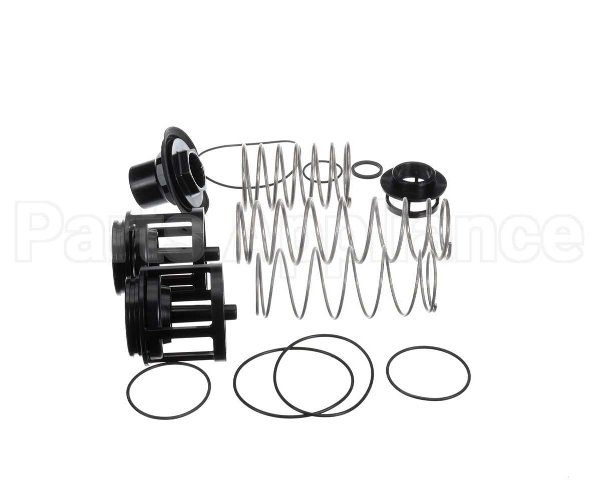 0888171 Watts Rk919T-2 Repair Kit