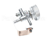 089993 Electrolux Professional Valvole