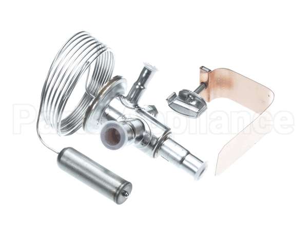 089993 Electrolux Professional Valvole