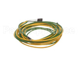 093442 Electrolux Professional Probe