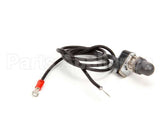 09891 Lakeside Rep Self-Leveling Elect Switch