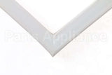 099109 Electrolux Professional Gasket, Door