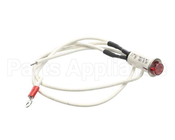 09917 Dinex Pilot Light