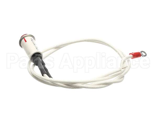 09917 Dinex Pilot Light