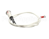 09917 Dinex Pilot Light