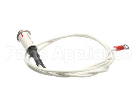 09917 Dinex Pilot Light