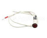 09917 Dinex Pilot Light