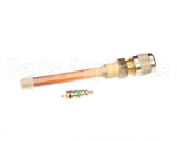 0A8171 Electrolux Professional Recharge Valve