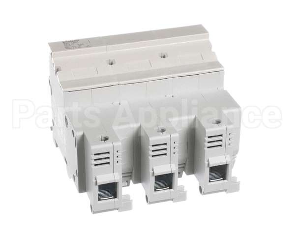 0C1487 Electrolux Professional Fuse Carrier