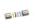 0C5239 Electrolux Professional Time-Lag Fuse, 4A 5X20