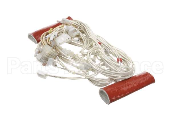 0C6035 Electrolux Professional Wiring Harness