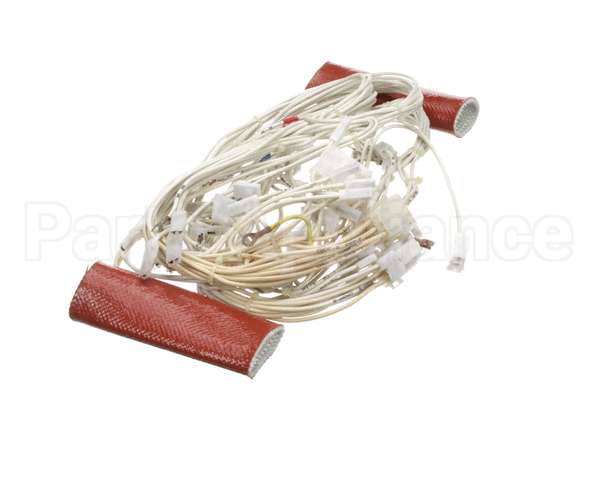 0C6035 Electrolux Professional Wiring Harness