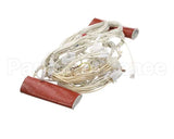 0C6035 Electrolux Professional Wiring Harness