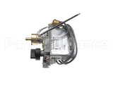 0C7969 Electrolux Professional Gas Valve
