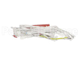 0C8644 Electrolux Professional Wiring Harness