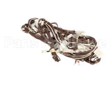 0C9015 Electrolux Professional Wiring Harness