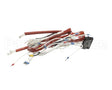 0C9678 Electrolux Professional Wiring Harness