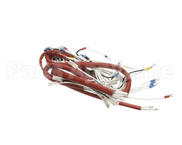 0C9678 Electrolux Professional Wiring Harness