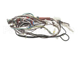 0CA702 Electrolux Professional Wiring Harness, Hspe