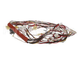 0CB084 Electrolux Professional Wiring Harness; Hspe