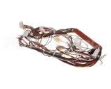 0CB084 Electrolux Professional Wiring Harness; Hspe