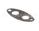 0CK119 Electrolux Professional Spark Plug Gasket