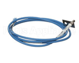 0CK209 Electrolux Professional Ntc Probe; Blu
