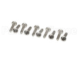 0D1009 Electrolux Professional Screw, 10 Pieces