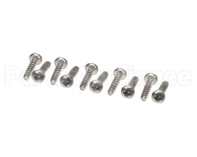 0D1009 Electrolux Professional Screw, 10 Pieces