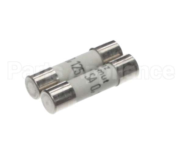 0D3931 Electrolux Professional Fuse, 2 Pieces