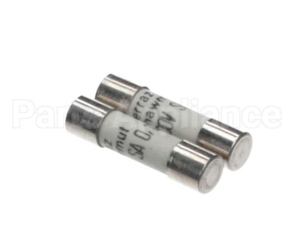 0D3931 Electrolux Professional Fuse, 2 Pieces