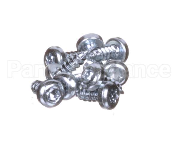 0D6250 Electrolux Professional Screw, Set 10Pcs
