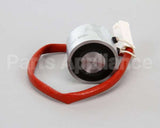0D6851 Electrolux Professional Electromagnet; 50Dan Cossee Hspp