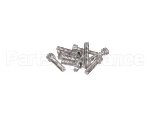 0D6985 Electrolux Professional Screw, M6X25 Inox, Set 10Pcs
