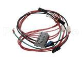 0D7588 Electrolux Professional Wiring Harness, Libero