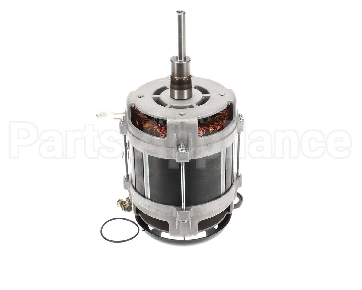 0D8078 Electrolux Professional Motor Assembly 115V 60Hz 1000W