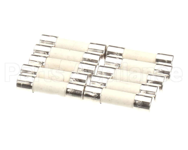 0G5823 Electrolux Professional Fuse, Set 10Pcs