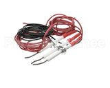 0G6241 Electrolux Professional Spark Plug With Flame Dectection Plug