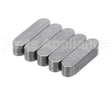 0KQ487 Electrolux Professional Key, 5 Pieces