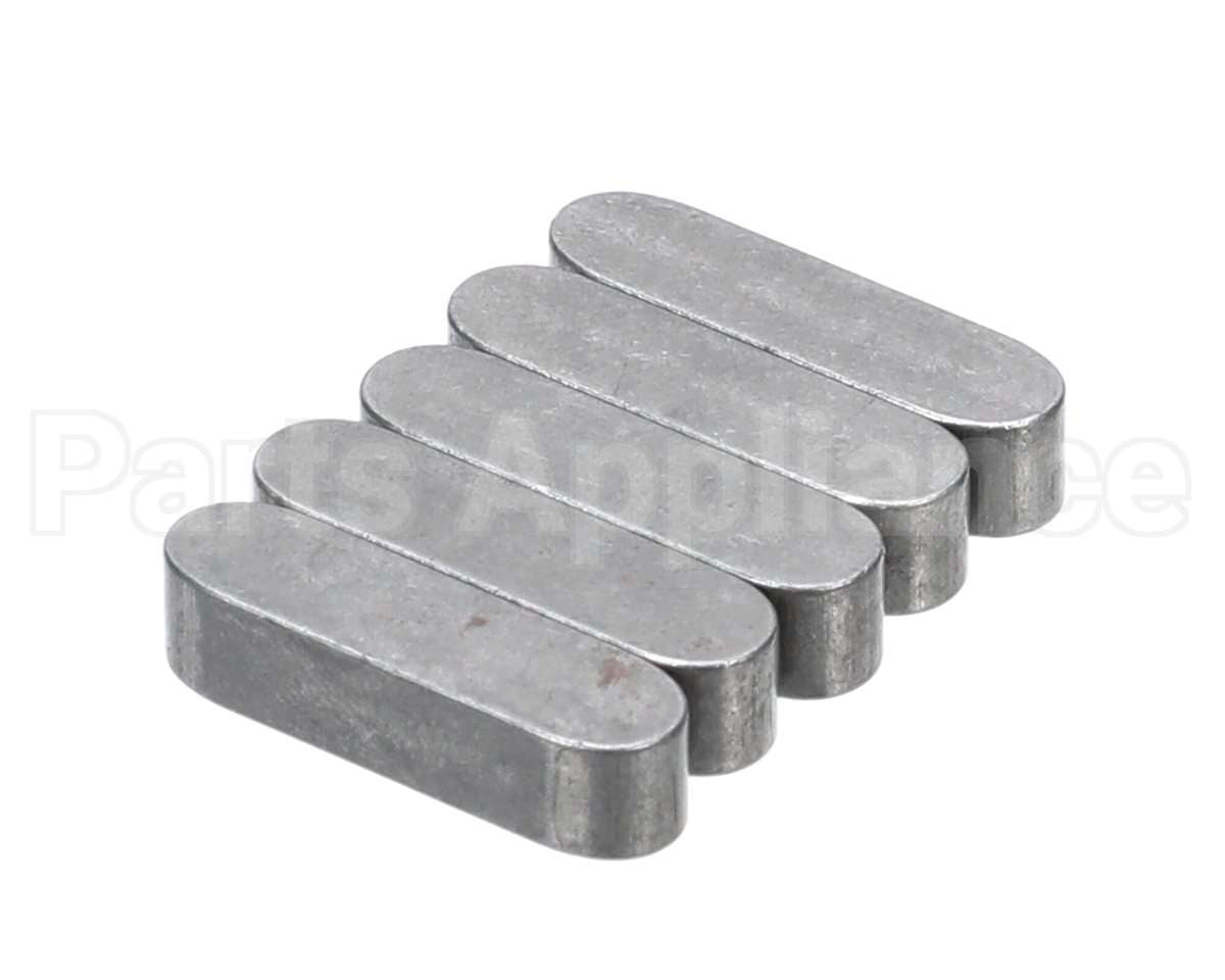 0KQ487 Electrolux Professional Key, 5 Pieces