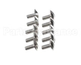 0KQ527 Electrolux Professional Screw, 10 Pieces