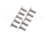 0KQ527 Electrolux Professional Screw, 10 Pieces