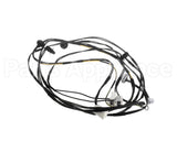 0L2916 Electrolux Professional Wiring Harness