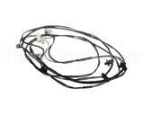 0L2916 Electrolux Professional Wiring Harness