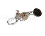 0M0885 Electrolux Professional Robinet Thermostat.st24 890017