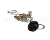 0M0885 Electrolux Professional Robinet Thermostat.st24 890017