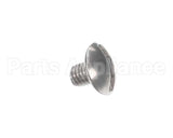 1.8050 Synesso Screws, Ss, 10-32 Truss Hd Slot 1/4"