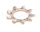 10-2513 Market Forge Lockwasher Shakeproof 1/4